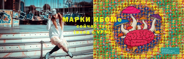 дурь Щучье