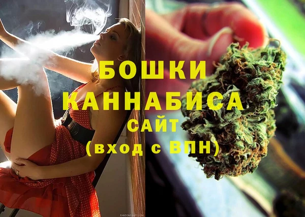 дурь Щучье