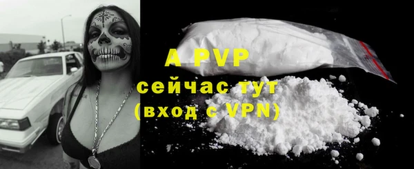 дурь Щучье