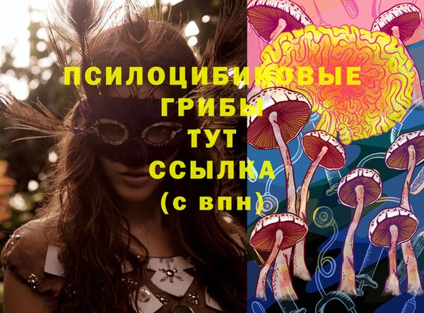 марки lsd Щёлкино