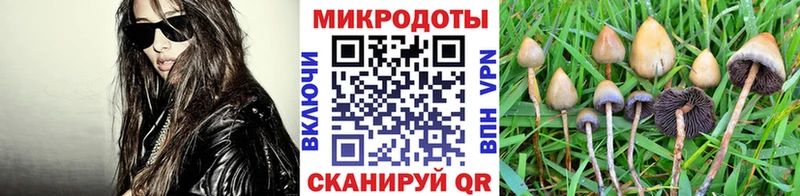 Галлюциногенные грибы GOLDEN TEACHER  Купить  Мосальск 